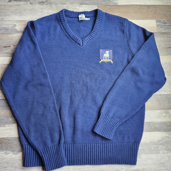 Ted Lasso Sweater Navy Blue VNeck Large AFC Richmond Soccer Apple TV Football - Picture 1 of 8